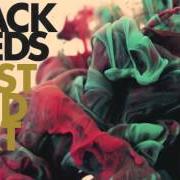 Der musikalische text LOVE ME NOW von THE BLACK SEEDS ist auch in dem Album vorhanden Dust and dirt (2012)