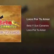 Der musikalische text BAILA MI RUMBA von BETO Y SUS CANARIOS ist auch in dem Album vorhanden Loco por tu amor (2009)