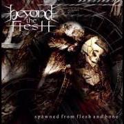 Der musikalische text SACRED SERENITY von BEYOND THE FLESH ist auch in dem Album vorhanden Spawned from flesh and bone (2001)