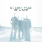 Der musikalische text WHAT I WAS MADE FOR von BIG DADDY WEAVE ist auch in dem Album vorhanden What i was made for (2005)