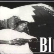 Der musikalische text STILL HERE von BIG L ist auch in dem Album vorhanden The archives 1996-2000 (2006)