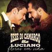 Der musikalische text PRA NÃO PENSAR EM VOCÊ von ZEZÉ DI CAMARGO & LUCIANO ist auch in dem Album vorhanden Flores em vida (2015)