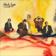 Der musikalische text RAW MEAT von BLACK LIPS ist auch in dem Album vorhanden Arabia mountain (2011)