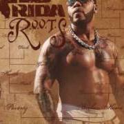 Der musikalische text AVAILABLE von FLO RIDA ist auch in dem Album vorhanden R.O.O.T.S. (2009)