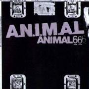 Der musikalische text GRITEMOS PARA NO OLVIDAR von A.N.I.M.A.L. ist auch in dem Album vorhanden Animal 6 (2001)