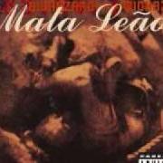 Der musikalische text AUTHORITY von BIOHAZARD ist auch in dem Album vorhanden Mata leao (1996)
