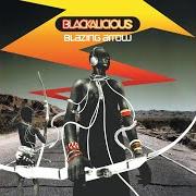 Der musikalische text PARAGRAPH PRESIDENT von BLACKALICIOUS ist auch in dem Album vorhanden Blazing arrow (2002)