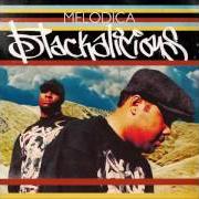 Der musikalische text YOU DIDN'T KNOW THAT THOUGH von BLACKALICIOUS ist auch in dem Album vorhanden Nia (2000)