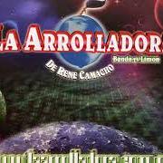 Der musikalische text LAS REJAS NO MATAN von LA ARROLLADORA BANDA EL LIMON ist auch in dem Album vorhanden Pa adoloridos (2001)