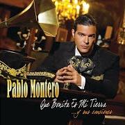 Der musikalische text AMOR EN SOMBRAS von PABLO MONTERO ist auch in dem Album vorhanden Que bonita es mi tierra... y sus canciones (2006)