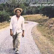 Der musikalische text GUAJIRO NATURAL von POLO MONTANEZ ist auch in dem Album vorhanden Guajiro natural