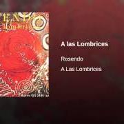 Der musikalische text CALIDEZ von ROSENDO ist auch in dem Album vorhanden ...A las lombrices (1987)