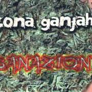 Der musikalische text FUMANDO VAMOS A CASA von ZONA GANJAH ist auch in dem Album vorhanden Sanazion (2007)
