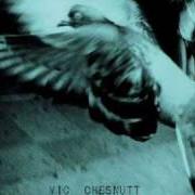 Der musikalische text WALLACE STEVENS von VIC CHESNUTT ist auch in dem Album vorhanden North star deserter (2007)