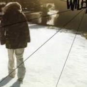 Der musikalische text NEXT LEVEL von WILEY ist auch in dem Album vorhanden Treddin' on thin ice (2004)