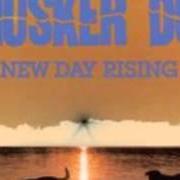 Der musikalische text HOW TO SKIN A CAT von HUSKER DU ist auch in dem Album vorhanden New day rising (1985)