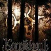 Der musikalische text HENGITTÖMILTÄ HENGILTÄ (FROM THE DEAD PEOPLE'S SPIRIT) von KORPIKLAANI ist auch in dem Album vorhanden Spirit of the forest (2003)