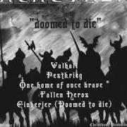 Der musikalische text EINHERJER (DOOMED TO DIE) von NACHTFALKE ist auch in dem Album vorhanden Doomed to die (2002)