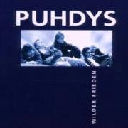 Der musikalische text WILDER FRIEDEN von PUHDYS ist auch in dem Album vorhanden Wilder frieden (1999)