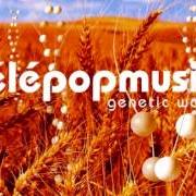 Der musikalische text HOLLYWOOD ON MY TOOTHPASTE von TELEPOPMUSIK ist auch in dem Album vorhanden Angel milk (2005)