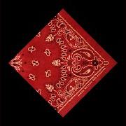 Der musikalische text BLOOD BROTHERS von AARON WATSON ist auch in dem Album vorhanden Red bandana (2019)