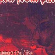 Der musikalische text DARKEST DECEPTION von BORN FROM PAIN ist auch in dem Album vorhanden Immortality (2002)