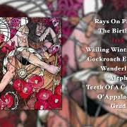 Der musikalische text GRAD von BARONESS ist auch in dem Album vorhanden Red album (2007)