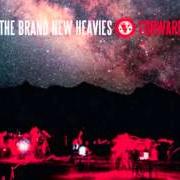 Der musikalische text LIGHTS von BRAND NEW HEAVIES ist auch in dem Album vorhanden Forward (2013)