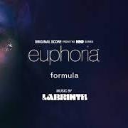 Der musikalische text FOLLOWING TYLER von LABRINTH ist auch in dem Album vorhanden Euphoria (original score from the hbo series) (2019)