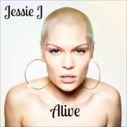 Der musikalische text HERO von JESSIE J ist auch in dem Album vorhanden Alive (2013)