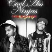 Der musikalische text ACTION FIGURES von THE COOL KIDS ist auch in dem Album vorhanden Cool ass ninjas: the mixtape (2008)