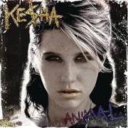 Der musikalische text PARTY AT A RICH DUDE'S HOUSE von KESHA ist auch in dem Album vorhanden Animal (2010)