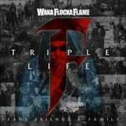 Der musikalische text HOMIES von WAKA FLOCKA FLAME ist auch in dem Album vorhanden Flockaveli (2010)