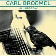 Der musikalische text RETIRED von CARL BROEMEL ist auch in dem Album vorhanden All birds say (2010)