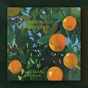 Der musikalische text QUIET WAITER BLUE FOREVER von LANA DEL REY ist auch in dem Album vorhanden Violet bent backwards over the grass (2020)