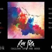 Der musikalische text SILVER SPOON von RON POPE ist auch in dem Album vorhanden Calling off the dogs (2014)