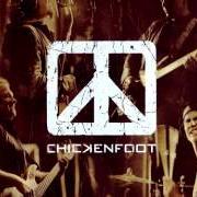 Der musikalische text MY KINDA GIRL von CHICKENFOOT ist auch in dem Album vorhanden Chickenfoot (2009)