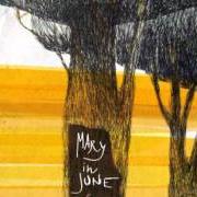 Der musikalische text IN FONDO AL MARE von MARY IN JUNE ist auch in dem Album vorhanden Ferirsi (2011)