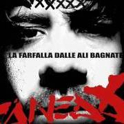 Der musikalische text POSSO VOLARE von CANEDA ist auch in dem Album vorhanden La farfalla dalle ali bagnate (2009)