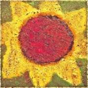 Der musikalische text OLD-TIMER von NEVER SHOUT NEVER ist auch in dem Album vorhanden Sunflower (2013)