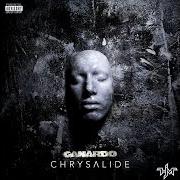 Der musikalische text ILS NE SAVENT PAS von CANARDO ist auch in dem Album vorhanden Chrysalide (2015)