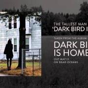 Der musikalische text FIELDS OF OUR HOME von THE TALLEST MAN ON EARTH ist auch in dem Album vorhanden Dark bird is home (2015)