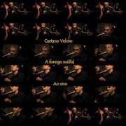 Der musikalische text DETACHED von CAETANO VELOSO ist auch in dem Album vorhanden A foreign sound (2004)