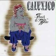 Der musikalische text NOT EVEN STEVIE NICKS von CALEXICO ist auch in dem Album vorhanden Feast of wire (2003)