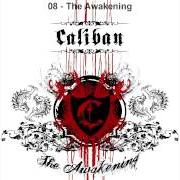 Der musikalische text I WILL NEVER LET YOU DOWN von CALIBAN ist auch in dem Album vorhanden The awakening (2007)