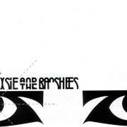 Der musikalische text SKIN von SIOUXSIE AND THE BANSHEES ist auch in dem Album vorhanden Kaleidoscope (1980)