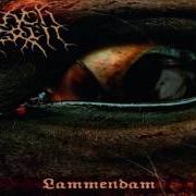 Der musikalische text CORPSE IN A NEBULOUS CREEK von CARACH ANGREN ist auch in dem Album vorhanden Lammendam (2008)