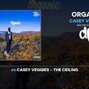 Der musikalische text AWARDED von CASEY VEGGIES ist auch in dem Album vorhanden Organic (2019)