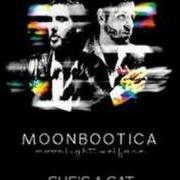Der musikalische text SUNDOWN von MOONBOOTICA ist auch in dem Album vorhanden Moonlight welfare (2007)