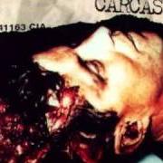 Der musikalische text GENITAL GRINDER II von CARCASS ist auch in dem Album vorhanden Wake up and smell the... carcass (1996)